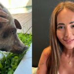 “Lugar de porco não é no shopping”: influenciadora Amanda Fróes protagoniza debate sobre presença de animais em espaços públicos